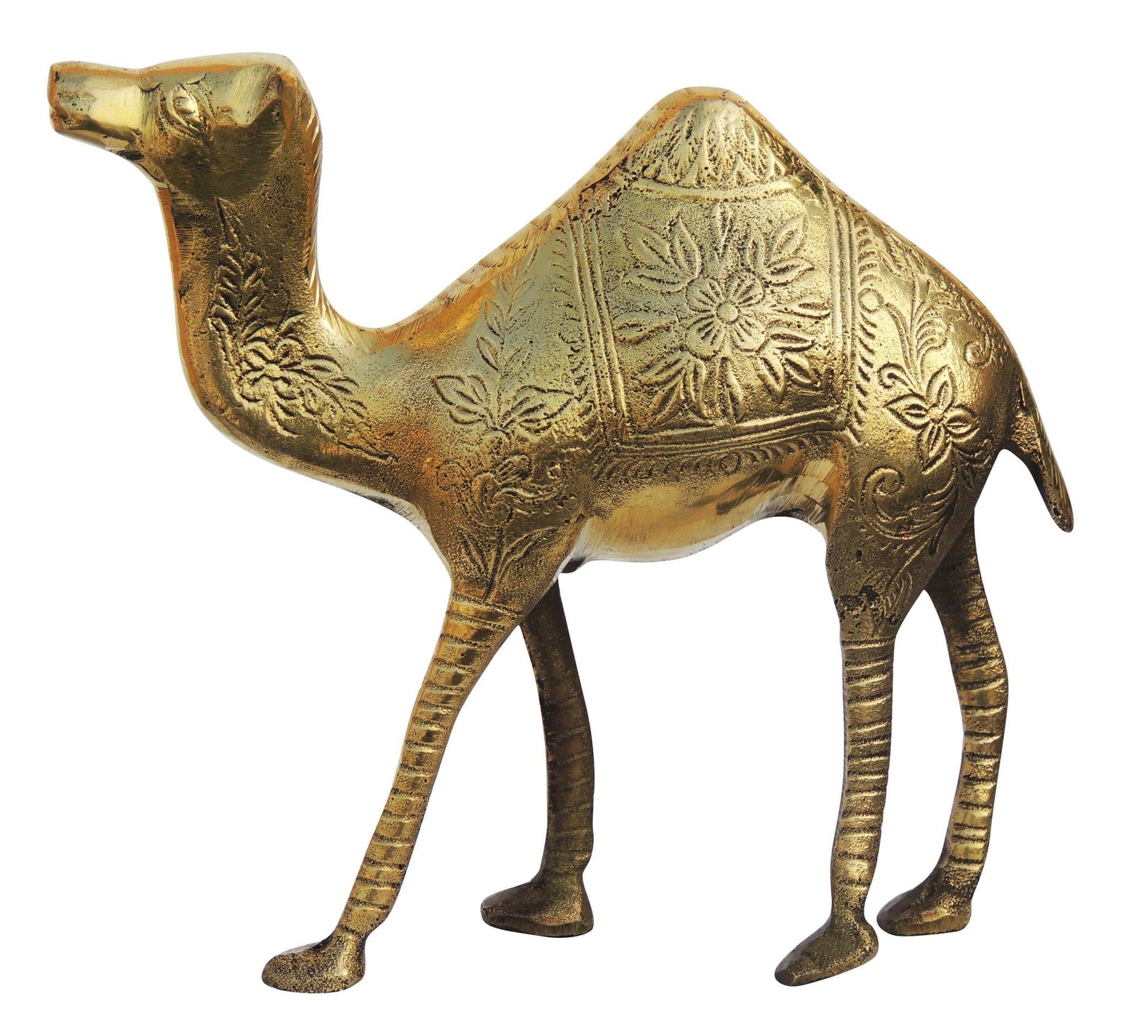 Brass Camel Polish — 6.5"