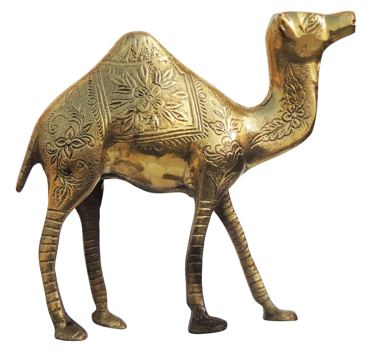 Brass Camel Polish — 6.5"