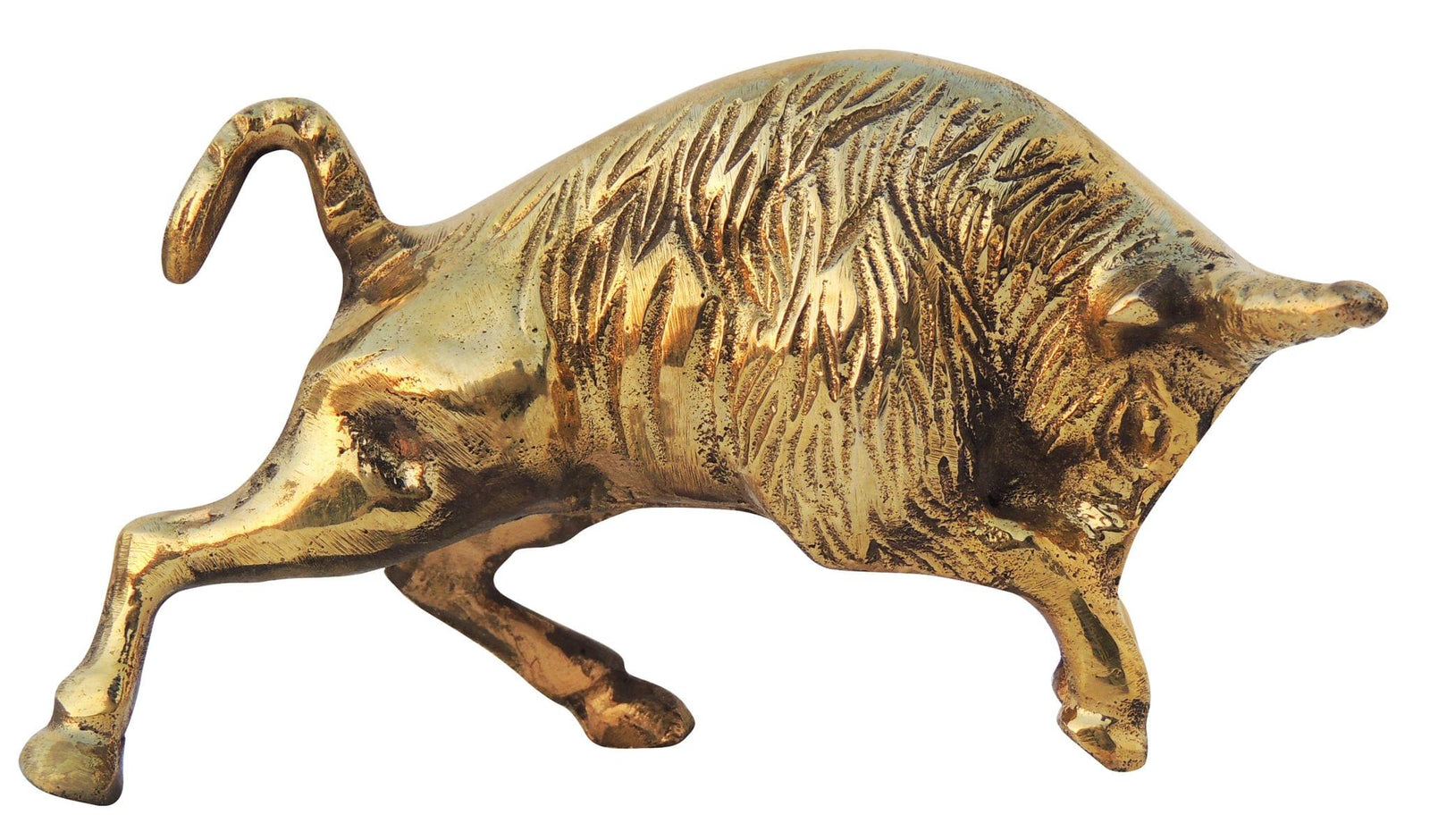 Brass Bull — 3.5"