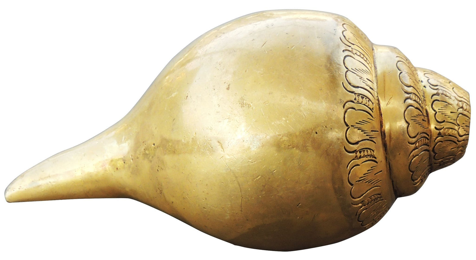Brass Conch Sound — 3.5"