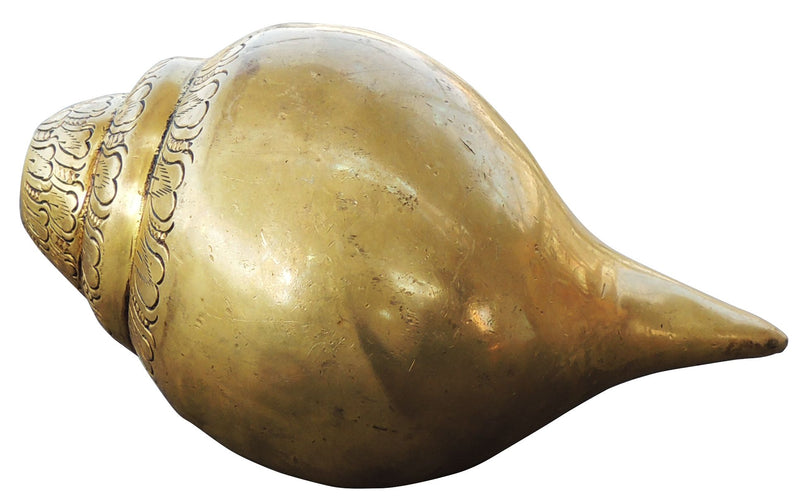 Brass Conch Sound — 3.5"