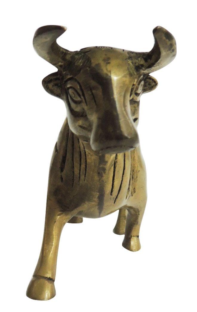 Brass Bull — 3.5"