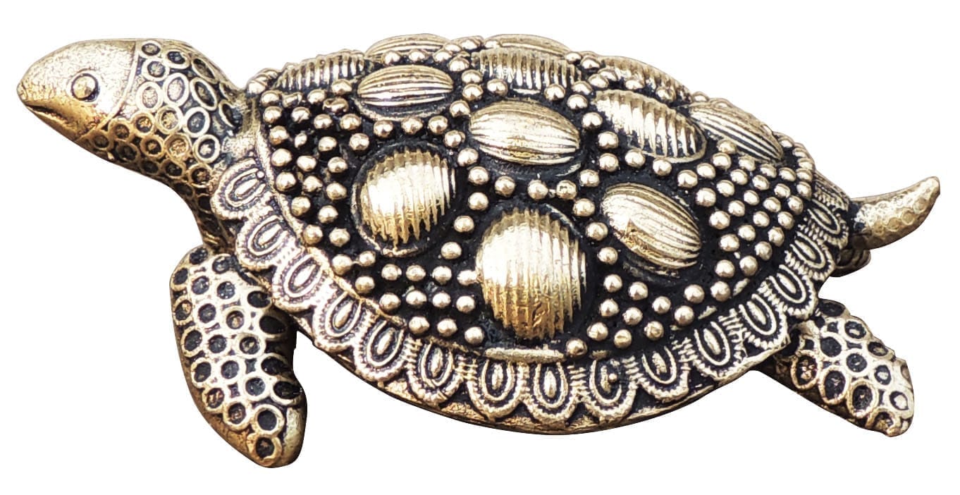 Brass Tortoise — 1"