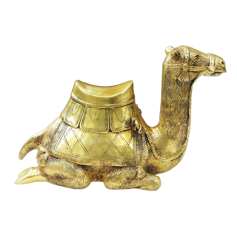 Brass Camel Sitting — 9.5"