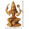 Brass Showpiece Kalmari Devi God Idol Statue 3x2x4.2 Inch