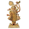 Brass Shrinath Ji Idol Statue - Brass material